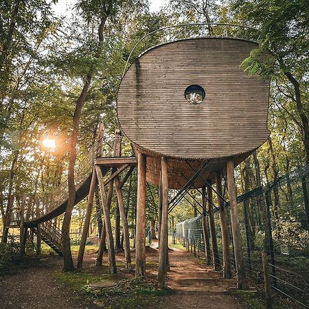 Tree Inn - Das Baumhaushotel Dörverden Exterior foto