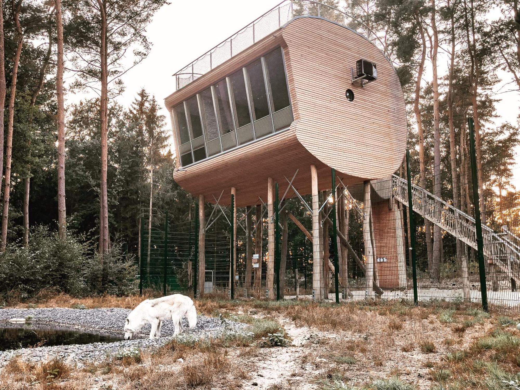 Tree Inn - Das Baumhaushotel Dörverden Exterior foto