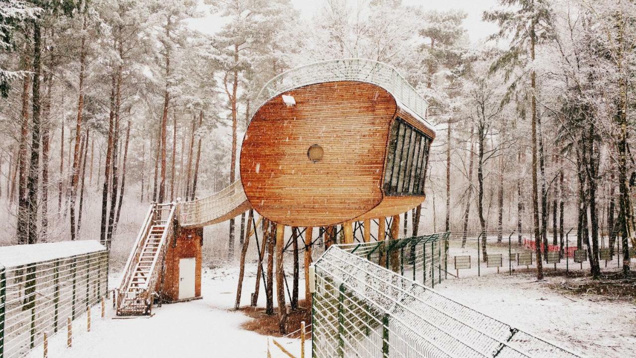Tree Inn - Das Baumhaushotel Dörverden Exterior foto